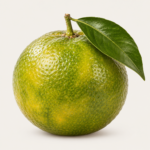 Grüne Mandarine