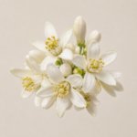 Neroli