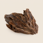 Oud