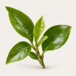 Petitgrain