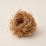Vetiver